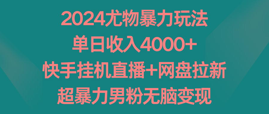 2024尤物暴力玩法 单日收入4000+快手挂机直播+网盘拉新 超暴力男粉无脑变现-点子口袋网