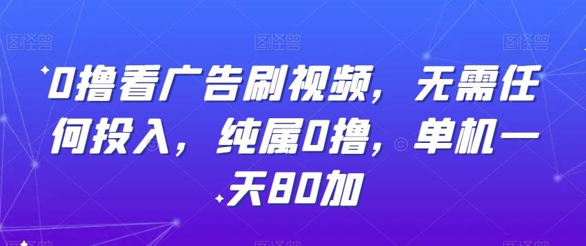 0撸看广告刷视频，无需任何投入，纯属0撸，单机一天80加-点子口袋网