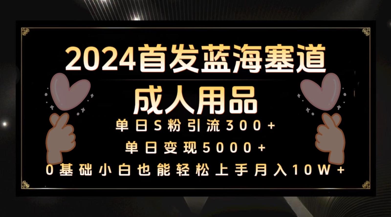 2024首发蓝海塞道成人用品，月入10W+保姆教程-点子口袋网