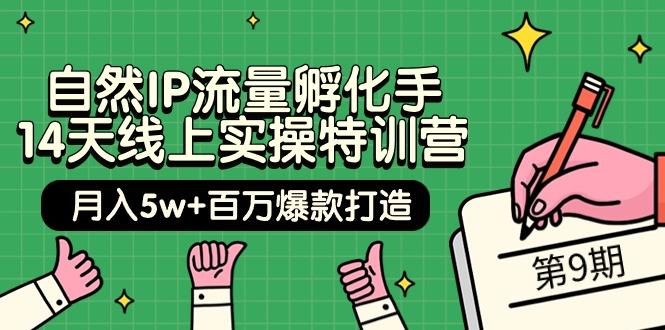 (9881期)自然IP流量孵化手 14天线上实操特训营【第9期】月入5w+百万爆款打造 (74节)-点子口袋网