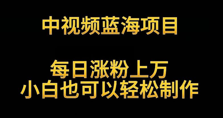 中视频蓝海项目，解读英雄人物生平，每日涨粉上万，小白也可以轻松制作，月入过万不是梦【揭秘】-点子口袋网