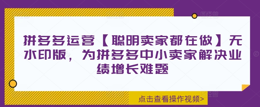 拼多多运营【聪明卖家都在做】无水印版，为拼多多中小卖家解决业绩增长难题-点子口袋网