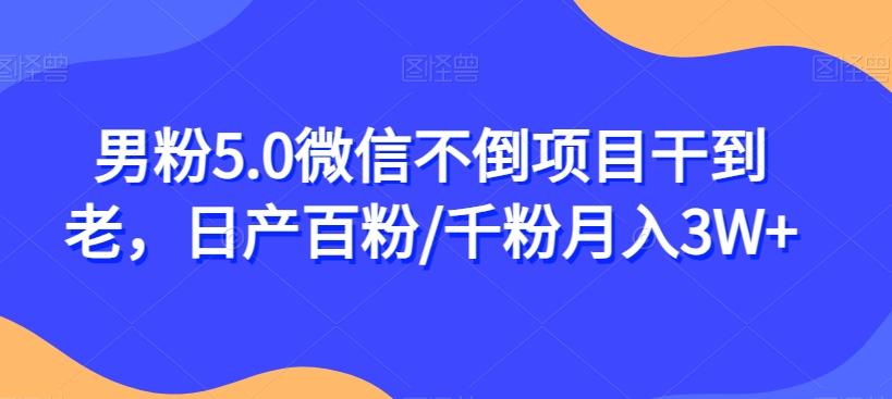 男粉5.0微信不倒项目干到老，日产百粉/千粉月入3W+【揭秘】-点子口袋网