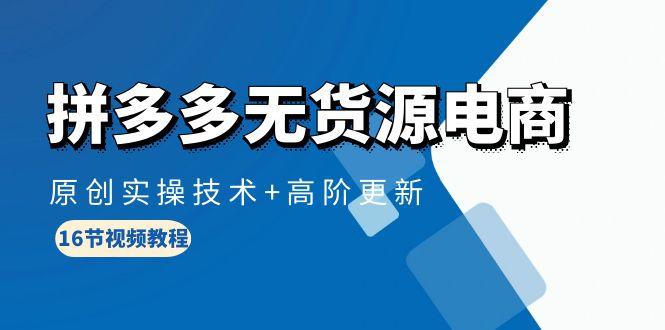 (10015期)拼多多无货源电商，原创实操技术+高阶更新(16节视频教程)-点子口袋网