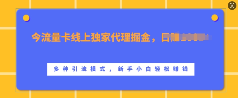 流量卡线上独家代理掘金，日入1k+ ，多种引流模式，新手小白轻松上手【揭秘】-点子口袋网