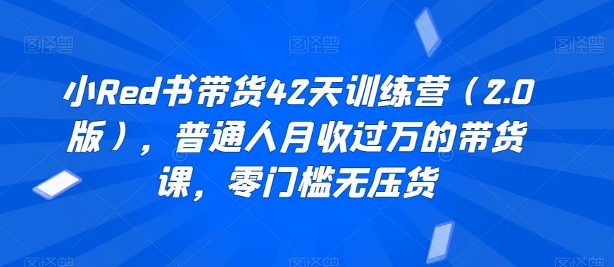 小Red书带货42天训练营(2.0版)，普通人月收过万的带货课，零门槛无压货-点子口袋网