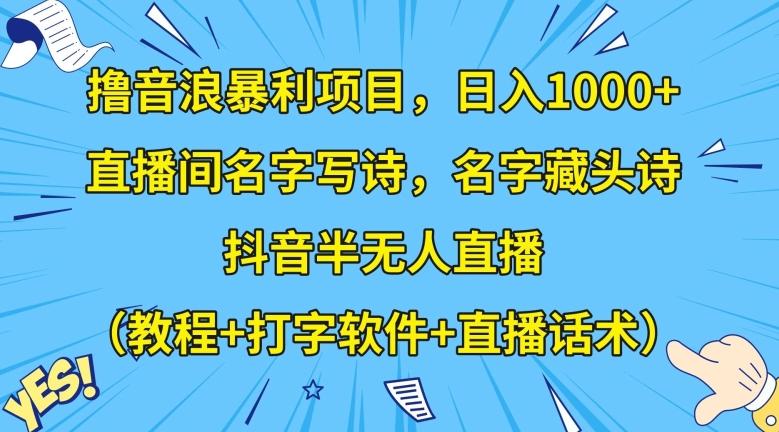 撸音浪暴利项目，日入1000+，直播间名字写诗，名字藏头诗，抖音半无人直播（教程+打字软件+直播话术）【揭秘】-点子口袋网