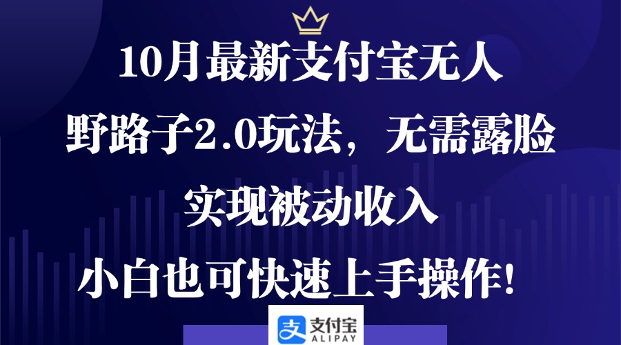 10月最新支付宝无人野路子2.0玩法，无需露脸，实现被动收入，小白也可...-点子口袋网
