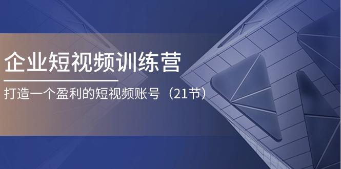 企业短视频训练营：打造一个盈利的短视频账号(21节-点子口袋网