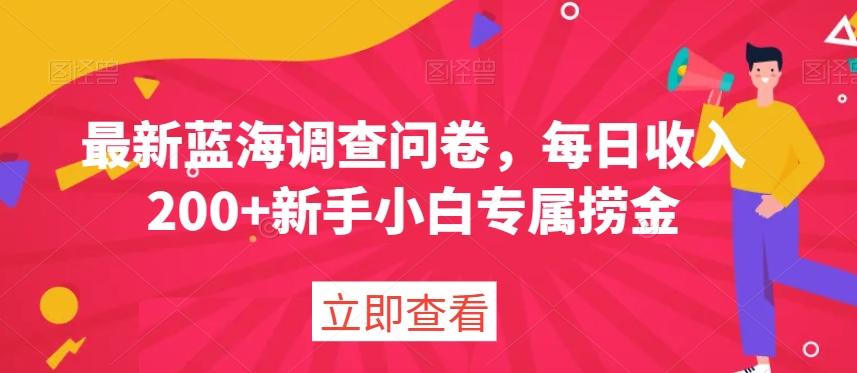 最新蓝海调查问卷，每日收入200+新手小白专属捞金-点子口袋网