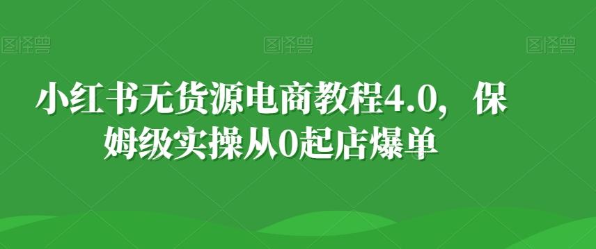 小红书无货源电商教程4.0，保姆级实操从0起店爆单【拆解】-点子口袋网