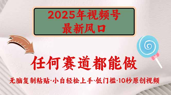 2025年视频号新风口，低门槛只需要无脑执行-点子口袋网
