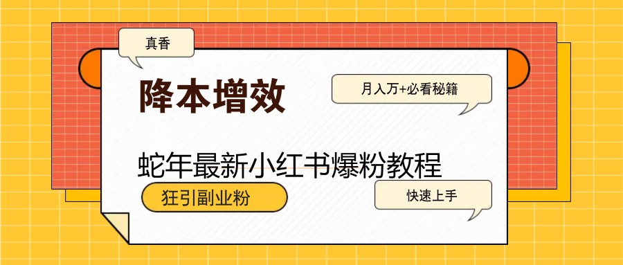 蛇年最新小红书爆粉教程，狂引副业粉，月入万+必看-点子口袋网