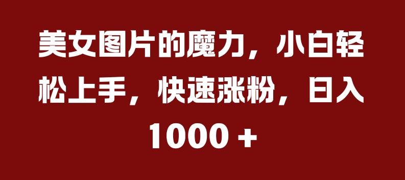 美女图片的魔力，小白轻松上手，快速涨粉，日入几张【揭秘】-点子口袋网