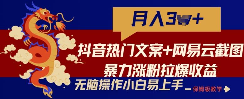 抖音热门文案+网易云截图暴力涨粉拉爆收益玩法，小白无脑操作，简单易上手【揭秘】-点子口袋网