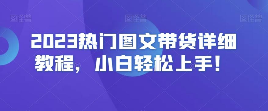 2023热门图文带货详细教程，小白轻松上手！-点子口袋网