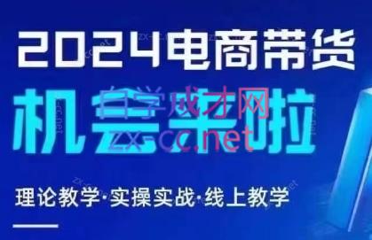 番薯达人学院·2024图文带货训练营-点子口袋网