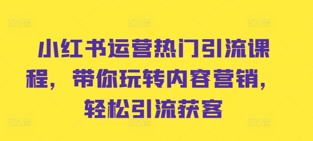 小红书运营热门引流课程，带你玩转内容营销，轻松引流获客-点子口袋网