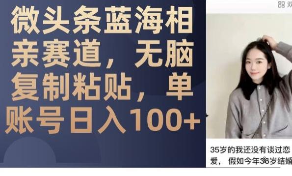 微头条蓝海相亲赛道，无脑复制粘贴，单账号日入100+-点子口袋网