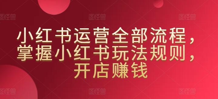 小红书运营全部流程，掌握小红书玩法规则，开店赚钱-点子口袋网