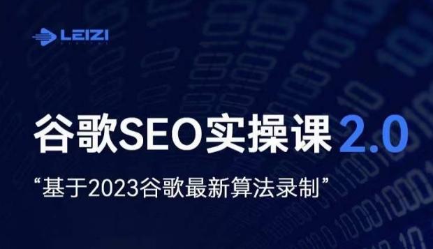 雷子·谷歌SEO 2.0实战课，独立站询盘自由必备，基于2023谷歌最新算法录制-点子口袋网