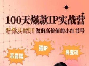 小红书100天爆款IP实战营，带你从0到1做出高价值的小红书号-点子口袋网