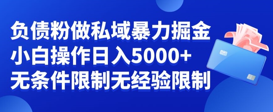 负债粉私域暴力掘金，小白操作入5000，无经验限制，无条件限制【揭秘】-点子口袋网