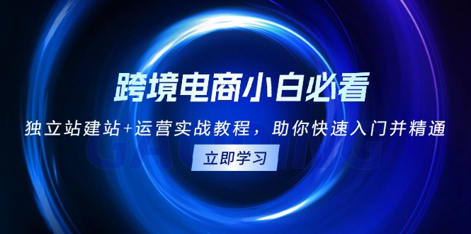 跨境电商小白必看！独立站建站+运营实战教程，助你快速入门并精通-点子口袋网