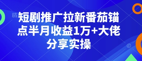 短剧推广拉新番茄锚点半月收益1万+大佬分享实操-点子口袋网