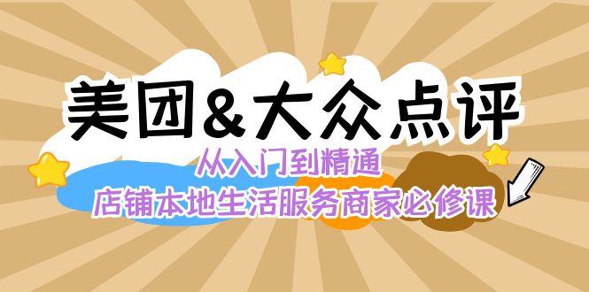 美团+大众点评 从入门到精通：店铺本地生活 流量提升 店铺运营 推广秘术 评价管理-点子口袋网