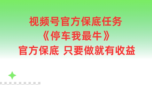 视频号官方保底任务，停车我最牛，官方保底只要做就有收益【揭秘】-点子口袋网
