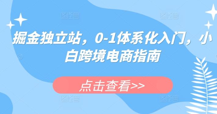 掘金独立站，0-1体系化入门，小白跨境电商指南-点子口袋网
