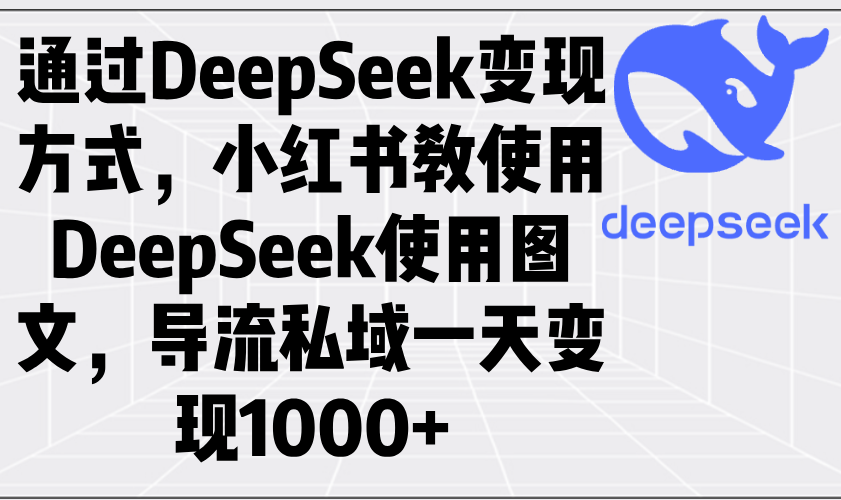 通过DeepSeek变现方式，小红书教使用DeepSeek图文，导流私域一天变现1000+-点子口袋网