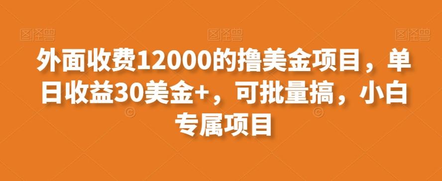 外面收费12000的撸美金项目，单日收益30美金+，可批量搞，小白专属项目-点子口袋网