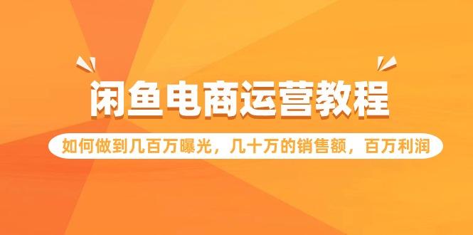 (9560期)闲鱼电商运营教程：如何做到几百万曝光，几十万的销售额，百万利润-点子口袋网