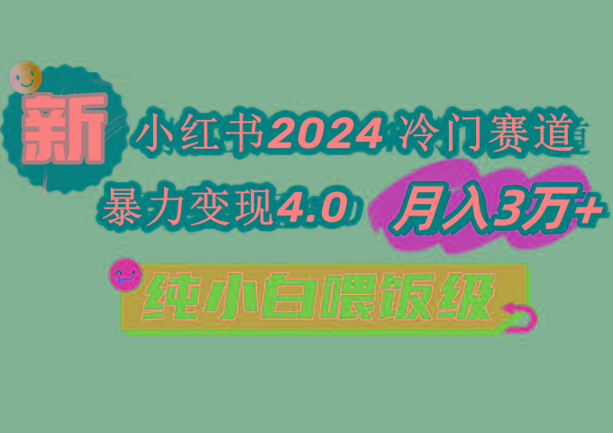 小红书2024冷门赛道 月入3万+ 暴力变现4.0 纯小白喂饭级-点子口袋网