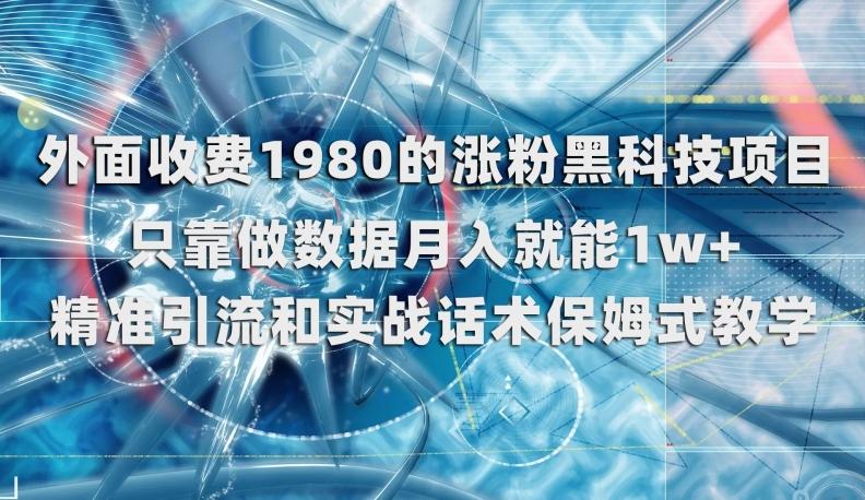 外面收费1980的涨粉黑科技项目，只靠做数据月入就能1w+【揭秘】-点子口袋网