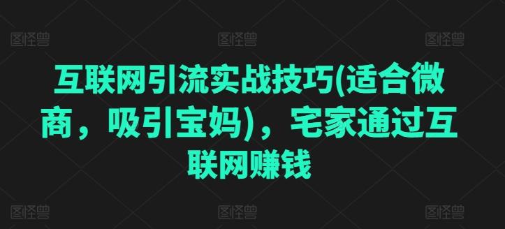 互联网引流实战技巧(适合微商，吸引宝妈)，宅家通过互联网赚钱-点子口袋网