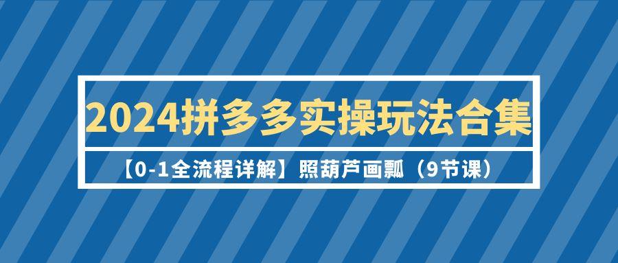 (9559期)2024拼多多实操玩法合集【0-1全流程详解】照葫芦画瓢(9节课)-点子口袋网