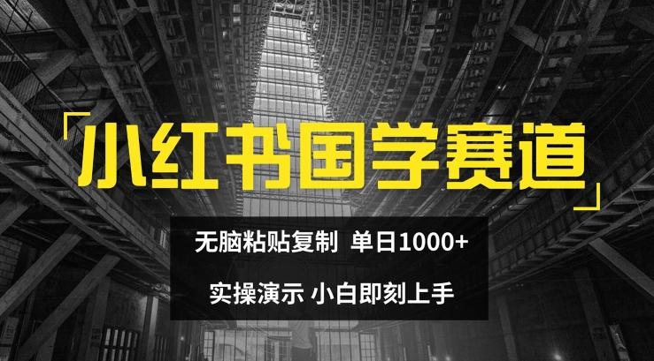 小红书国学赛道，无脑粘贴复制，单日1K，实操演示，小白即刻上手【揭秘】-点子口袋网