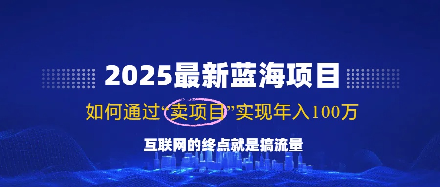 2025最新蓝海项目，零门槛轻松复制，月入10万+，新手也能操作！-点子口袋网