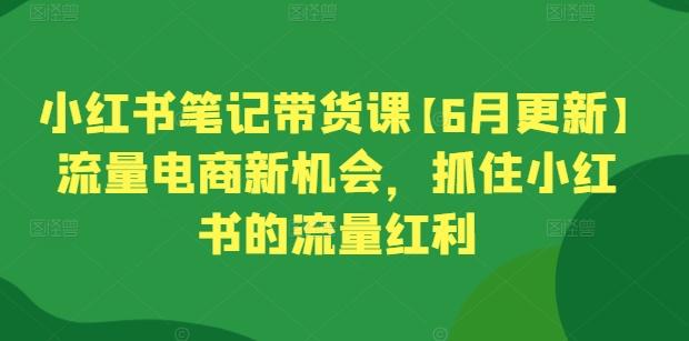 小红书笔记带货课【6月更新】流量电商新机会，抓住小红书的流量红利-点子口袋网