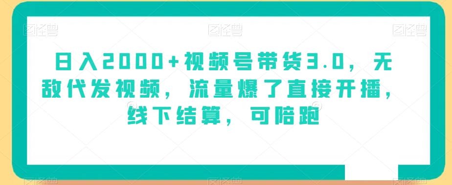 日入2000+视频号带货3.0，无敌代发视频，流量爆了直接开播，线下结算，可陪跑-点子口袋网