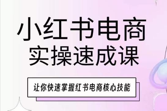 小红书电商实操速成课，让你快速掌握红书电商核心技能-点子口袋网