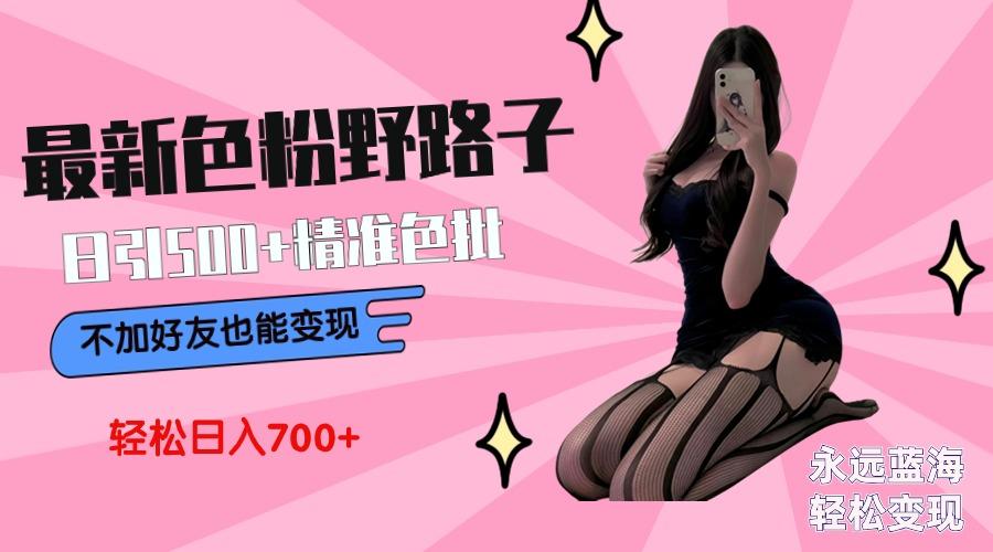 最新色粉变现野路子，日引500+老色批 可不加好友直接变现 小白轻松日入700+-点子口袋网