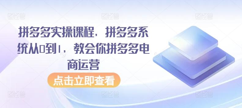 拼多多实操课程，拼多多系统从0到1，教会你拼多多电商运营-点子口袋网