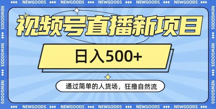 视频号直播新项目，通过简单的人货场，狂撸自然流，日入500+【260G资料】-点子口袋网