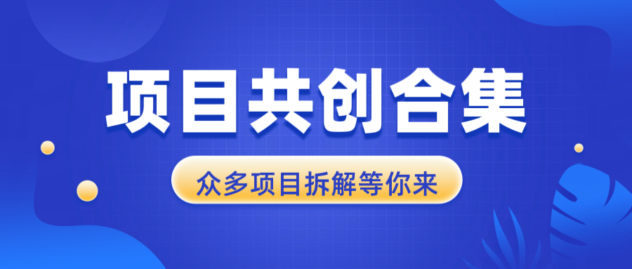 项目共创合集，从0-1全过程拆解，让你迅速找到适合自已的项目-点子口袋网