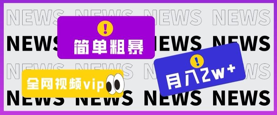 简单粗暴零成本，高回报，全网视频VIP掘金项目，月入2万＋【揭秘】-点子口袋网