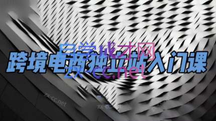团长·跨境电商独立站入门课(2小时精华)-点子口袋网